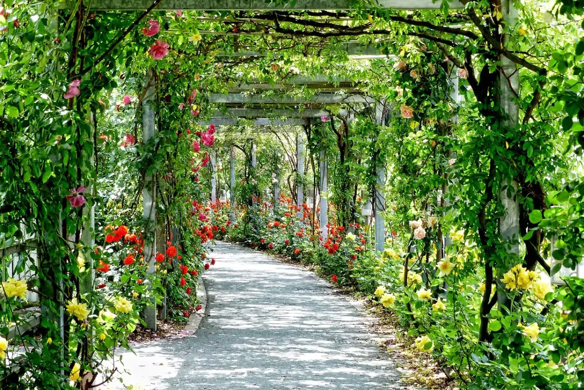 Pergola devis