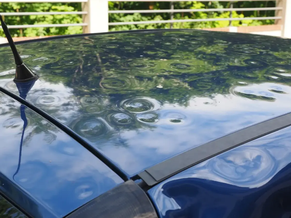 Obtenez votre devis santé vétérinaire rapidement