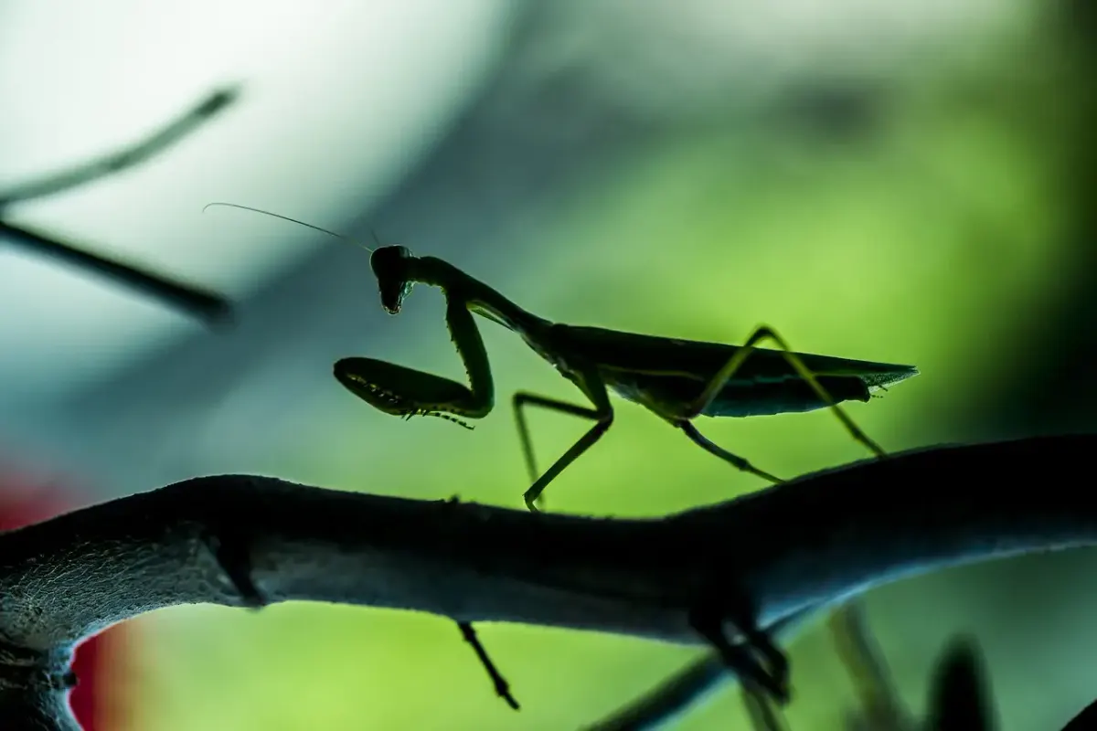 Comment faire un devis micro entreprise