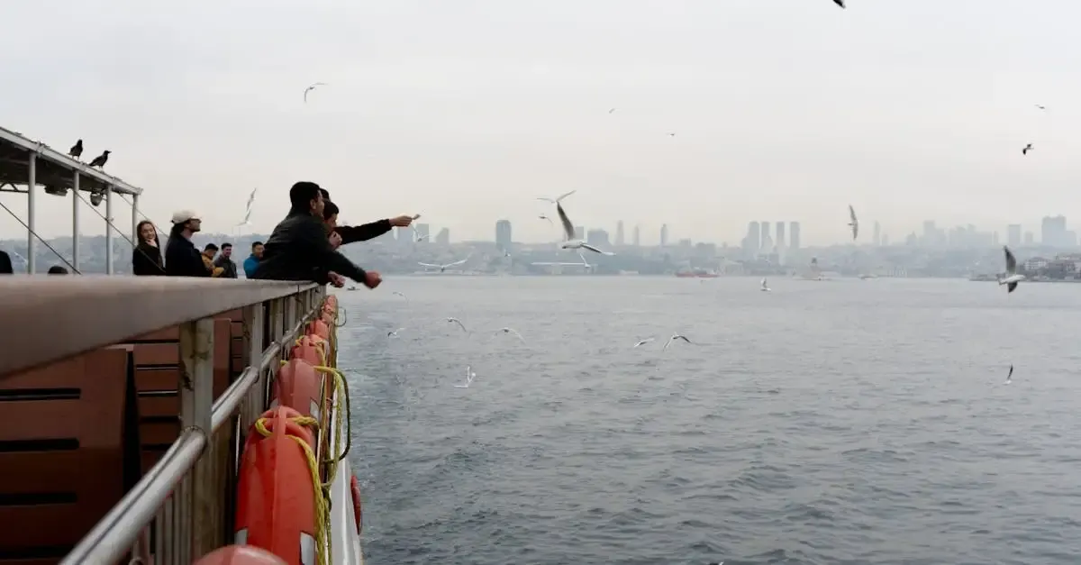 Devis croisiere