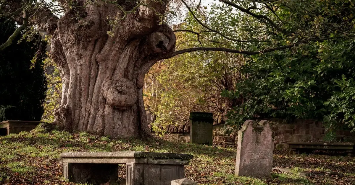 Devis funerailles