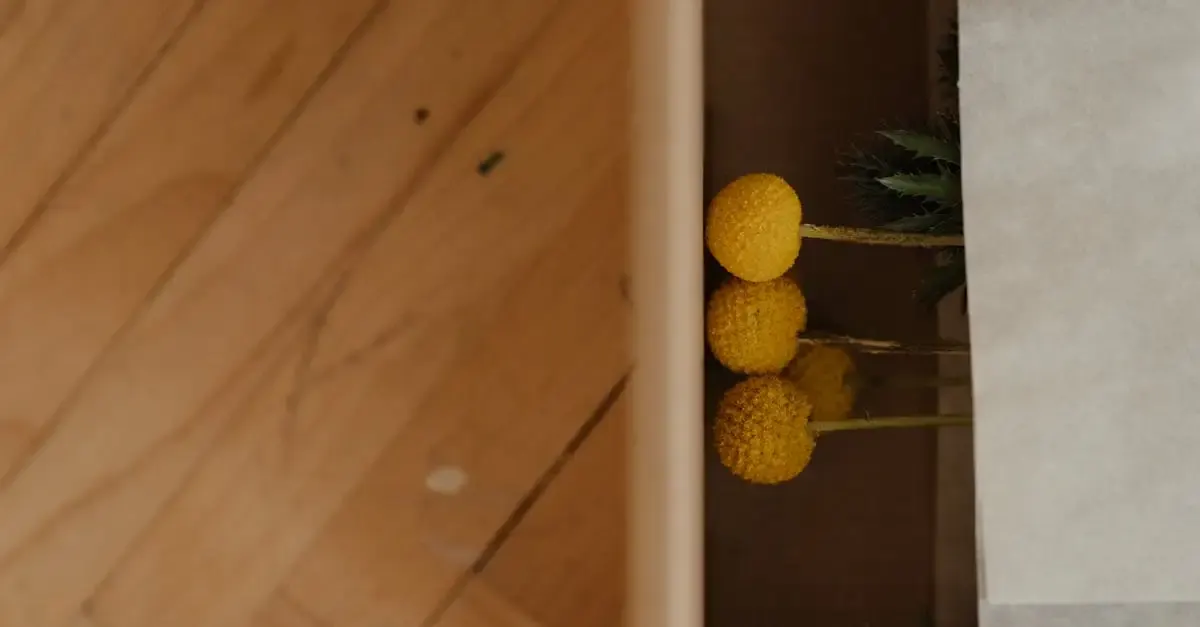 Décoration